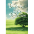Wisdom from Within - Paperback