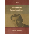 Awakened Imagination - Hardcover