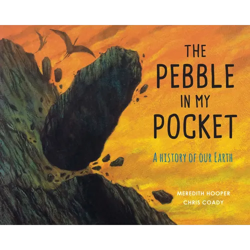 The Pebble in My Pocket: A History of Our Earth - Paperback