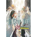 D.Gray-Man, Vol. 16: Blood & Chains - Paperback