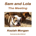 Sam and Lola: The Meeting - Hardcover
