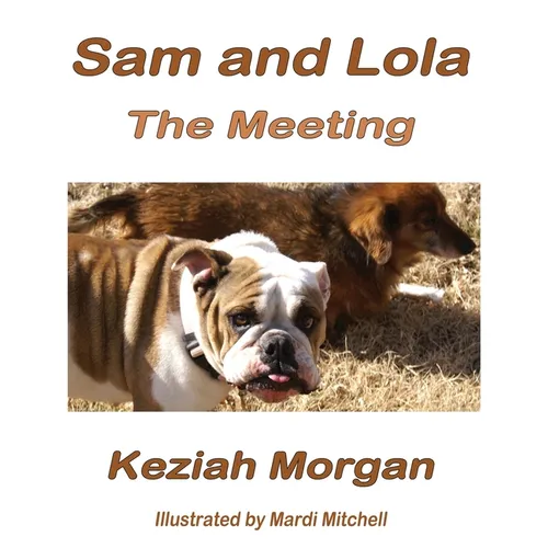 Sam and Lola: The Meeting - Hardcover