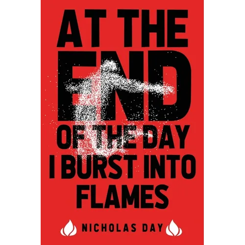 At The End Of The Day I Burst Into Flames - Paperback