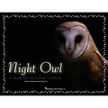 Night Owl: A Book for Nocturnal Toddlers - Paperback