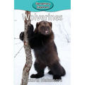 Wolverines - Paperback