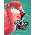 Why Are Flamingos Pink? - Hardcover