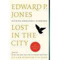Lost in the City: Stories - Paperback