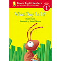 What Day Is It? - Paperback