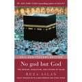 No God But God: The Origins, Evolution, and Future of Islam - Paperback