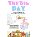 The Big Day: A Practical Guide for Labor, Delivery, and more - Paperback