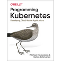 Programming Kubernetes: Developing Cloud-Native Applications - Paperback