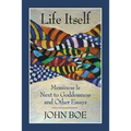 Life Itself: Messiness Is Next to Goddessness and Other Essays - Paperback