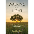 Walking in the Light: Affirming the Presence Hour by Hour - Paperback