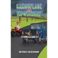 Camouflage on the Highway - Paperback