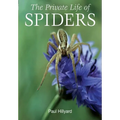The Private Life of Spiders - Paperback