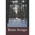 Brain Scraps - Paperback