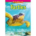 Turtles - Paperback