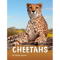Cheetahs - Hardcover
