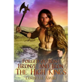 Forged of Irish Bronze and Iron: The High Kings - Paperback