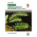 Ferns: Clubmosses, Quillworts and Horsetails of Britain and Ireland - Paperback