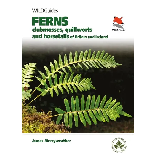 Ferns: Clubmosses, Quillworts and Horsetails of Britain and Ireland - Paperback