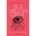 In a Shallow Grave (Valancourt 20th Century Classics) - Paperback