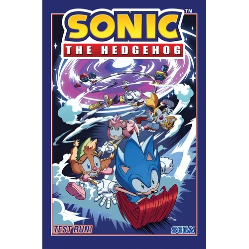 Sonic the Hedgehog, Vol. 10: Test Run! - Paperback