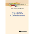 Hyperbolicity in Delay Equations - Hardcover
