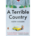A Terrible Country - Paperback