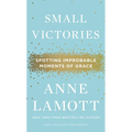 Small Victories: Spotting Improbable Moments of Grace - Hardcover