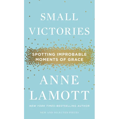 Small Victories: Spotting Improbable Moments of Grace - Hardcover