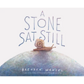 A Stone SAT Still - Hardcover