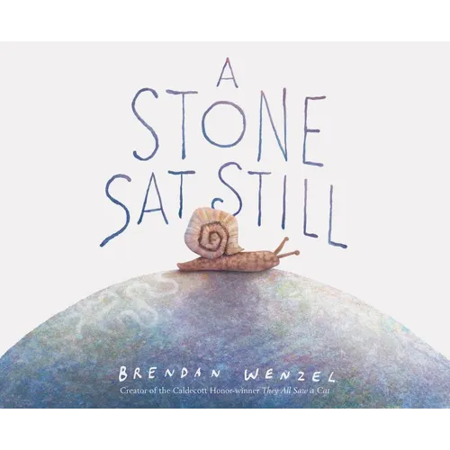 A Stone SAT Still - Hardcover