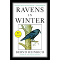 Ravens in Winter - Paperback