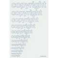 Copyright in Historical Perspective - Paperback