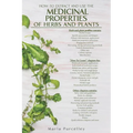 Medicinal Properties of Herbs and Plants - Paperback