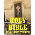 Holy Bible - Paperback