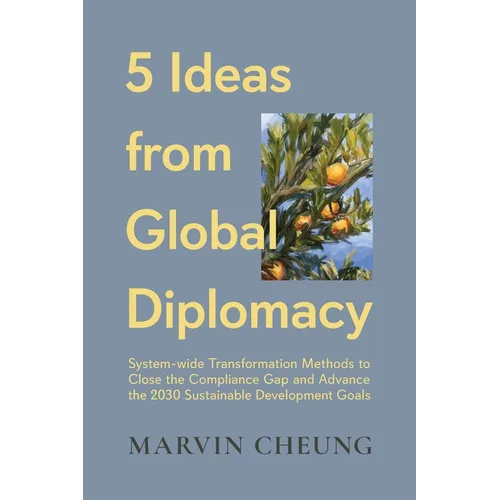 5 Ideas from Global Diplomacy: System-wide Transformation Methods to Close the Compliance Gap and Advance the 2030 Sustainable Development Goals - Paperback