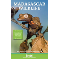 Madagascar Wildlife - Paperback