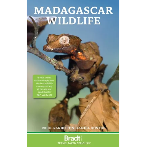 Madagascar Wildlife - Paperback