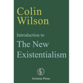 Introduction to The New Existentialism - Paperback