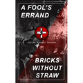 A Fool's Errand & Bricks Without Straw: The Classics Which Condemned the Terrorism of Ku Klux Klan and Fought for Preventing the Southern Hate Violenc - Paperback