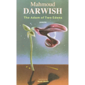 The Adam of Two Edens - Paperback