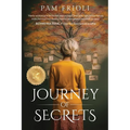 Journey of Secrets - Paperback
