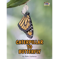 Letter C - Caterpillar to Butterfly for Kids 3-8 - Paperback