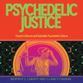 Psychedelic Justice: Toward a Diverse and Equitable Psychedelic Culture - Paperback
