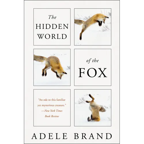 The Hidden World of the Fox - Paperback