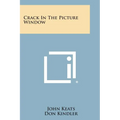 Crack in the Picture Window - Paperback