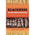 Blackness in the White Nation: A History of Afro-Uruguay - Paperback