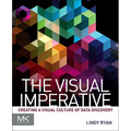 The Visual Imperative: Creating a Visual Culture of Data Discovery - Paperback